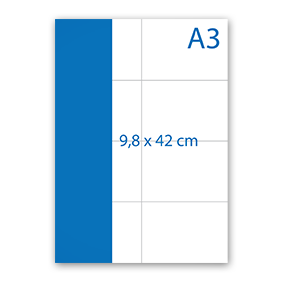 9,8 x 42 cm